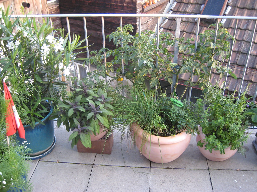 Balcon garni de plantes en pots